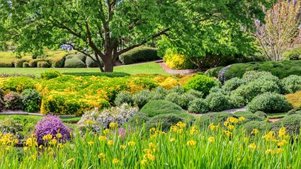 Japanese Garden - Cowra 